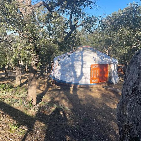 Bed and Breakfast Au Soleil Mongol Sorède Zewnętrze zdjęcie