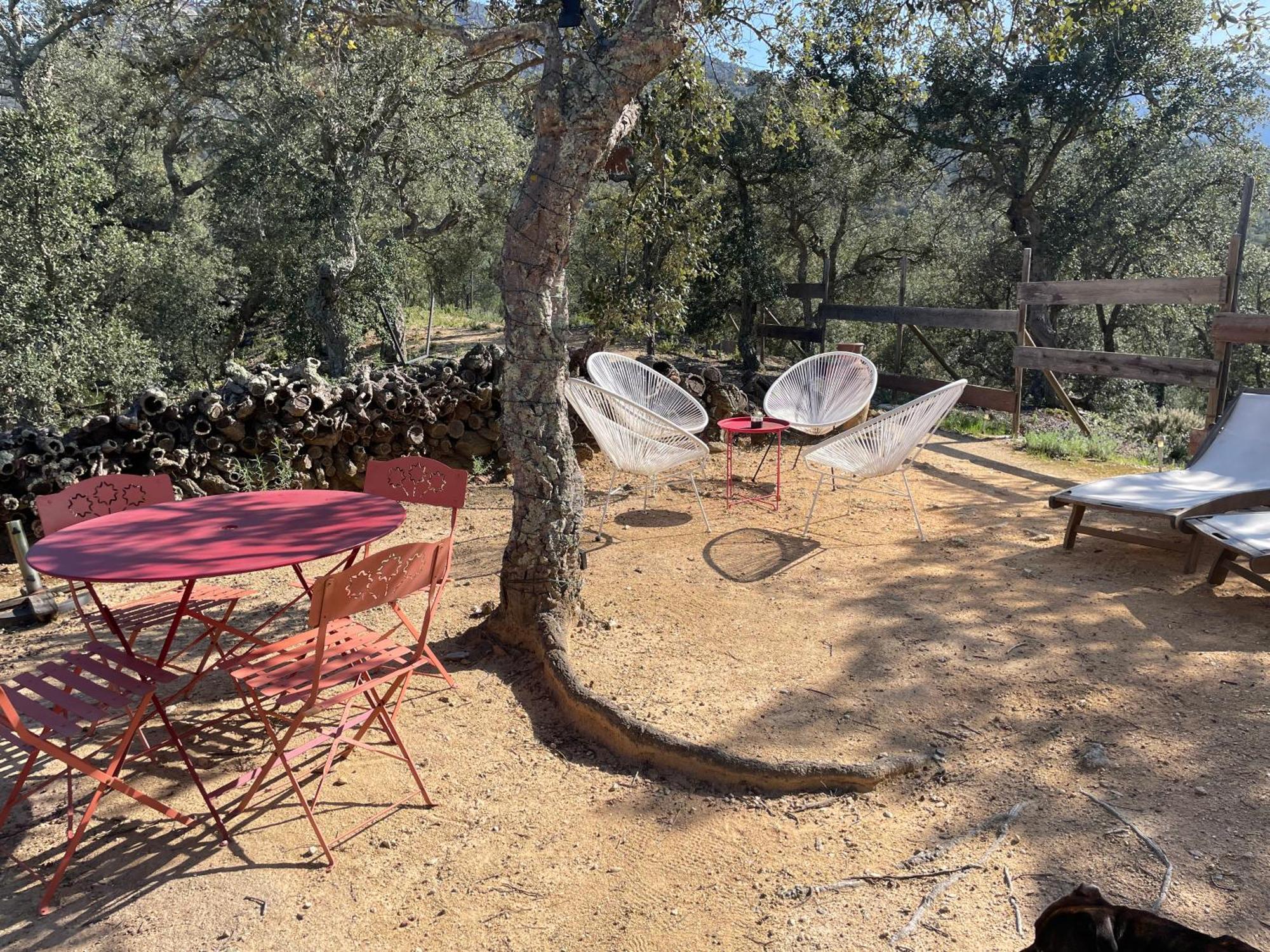 Bed and Breakfast Au Soleil Mongol Sorède Zewnętrze zdjęcie