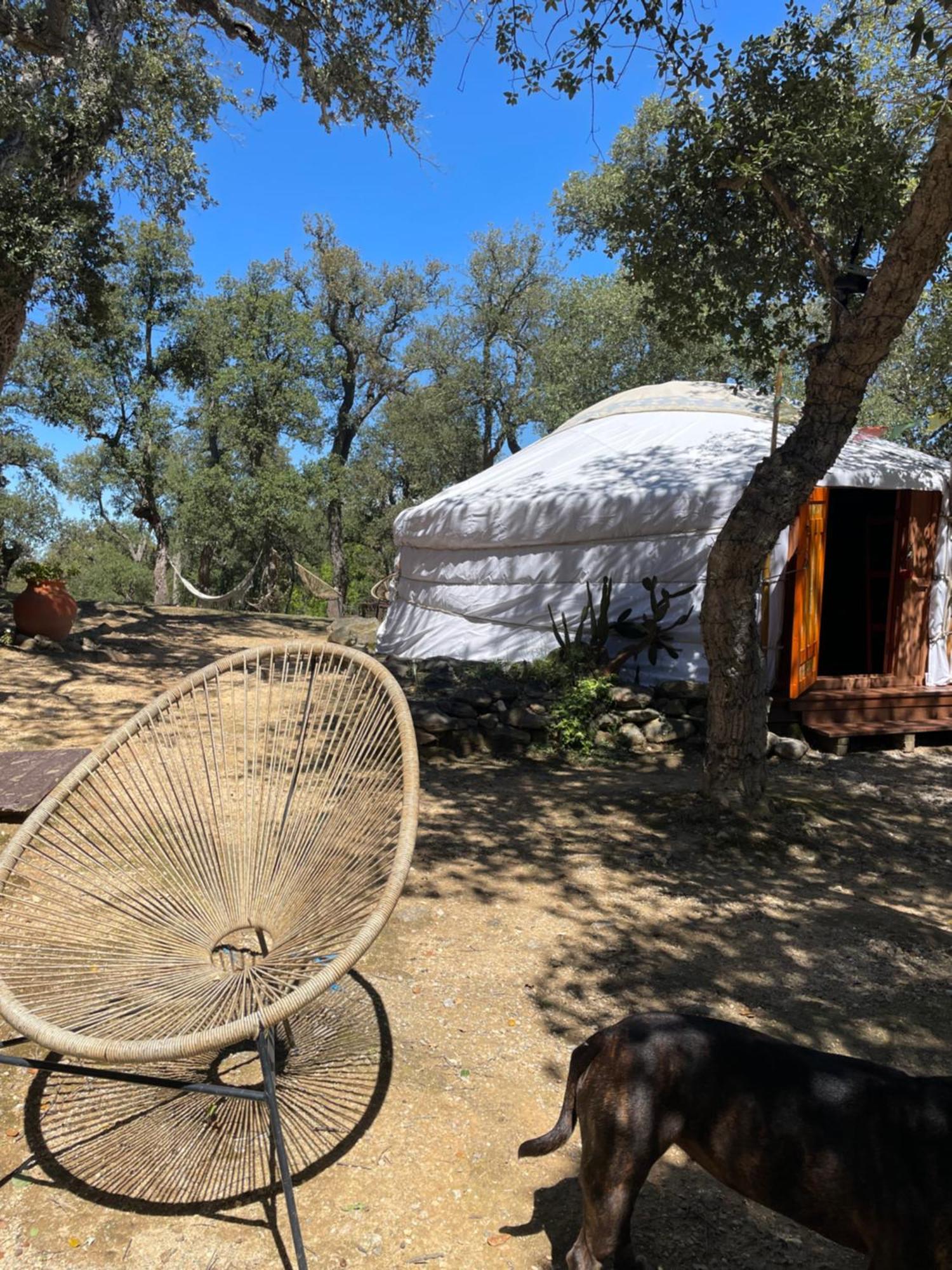 Bed and Breakfast Au Soleil Mongol Sorède Zewnętrze zdjęcie