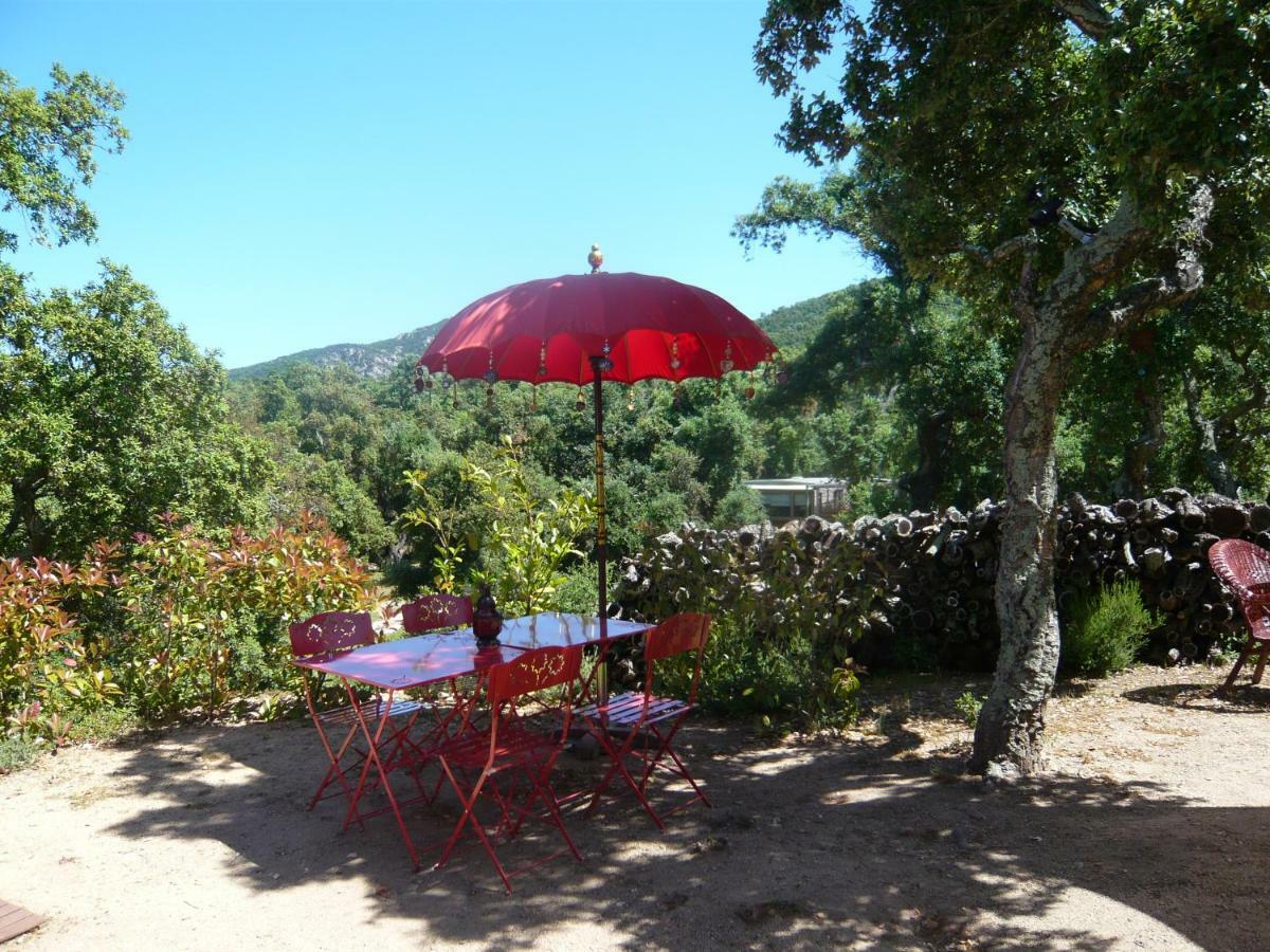 Bed and Breakfast Au Soleil Mongol Sorède Zewnętrze zdjęcie